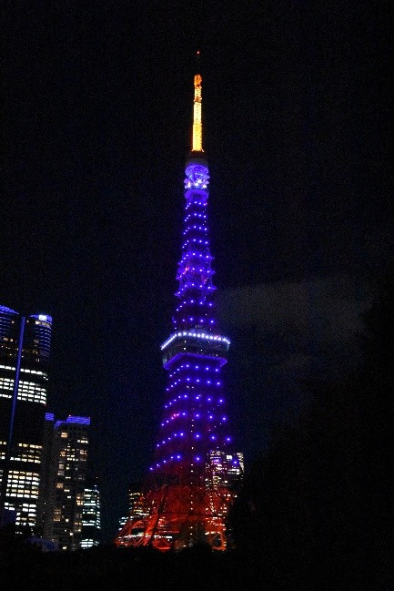 ライトアップの様子