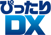 ぴったりDX