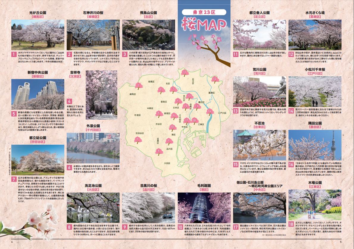 桜スポットの紹介