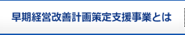 早期経営改善計画策定事業とは