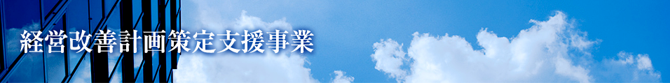 経営改善計画策定支援事業