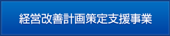 経営改善計画策定支援事業