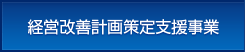 経営改善計画策定支援事業