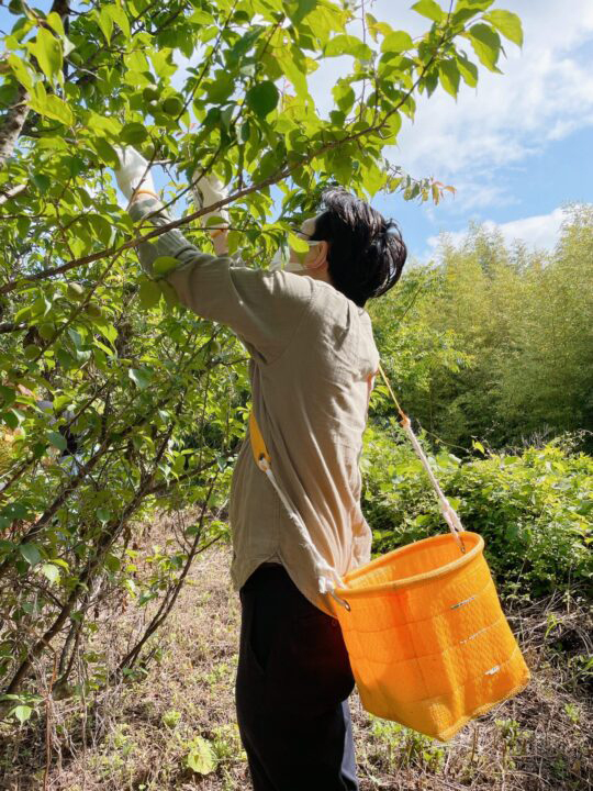 石塚氏自らが日本全国の生産者を巡る