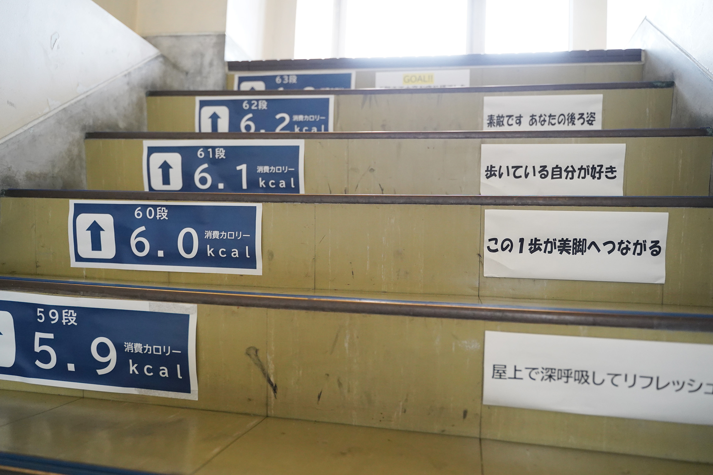 登った段数に応じた消費エネルギー量を表示。