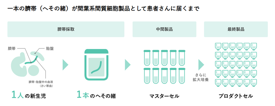 写真3