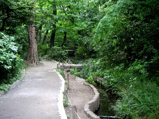 おとめ山公園